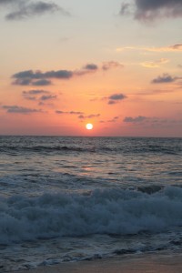 IMG_0132